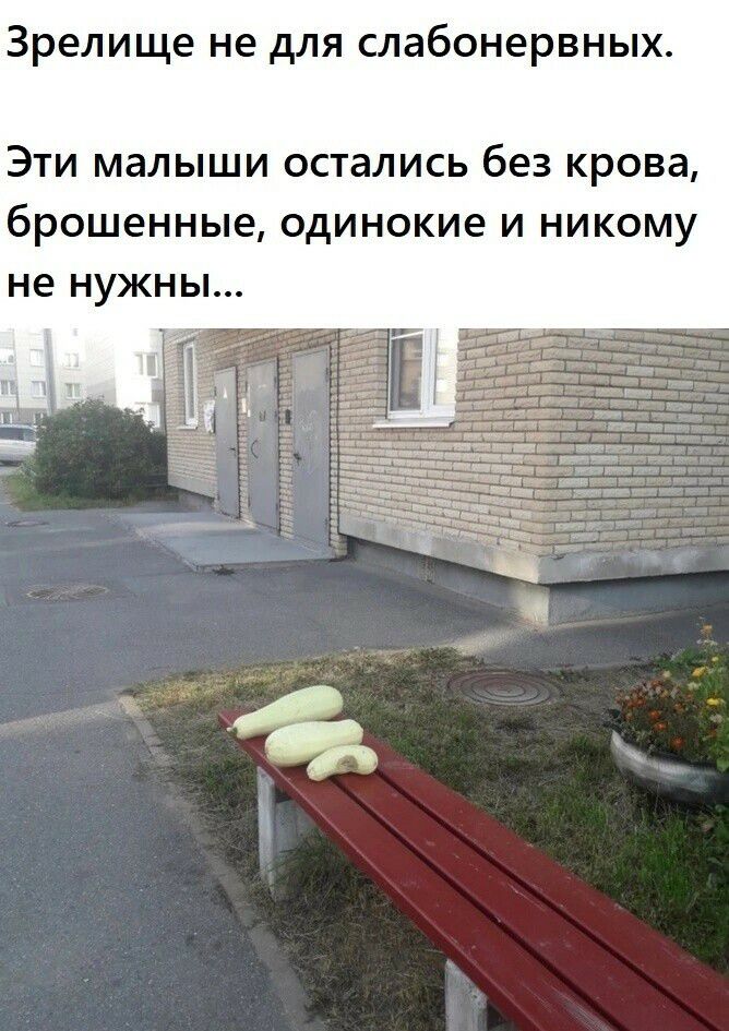 Зрелище не для слабонервных ЭТИ МЭЛЫШИ ОСТаЛИСЬ без крова брошенные одинокие И НИКОМУ не НУЖНЫ