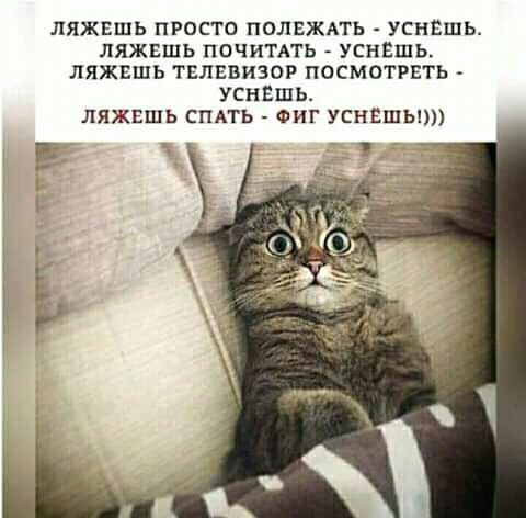 ЛЯЖЕШЬ ПРОСТО ПОЛЕЖАТЬ УСНЕШЬ ЛЯЖЕШЬ ПОЧИТАТЬ УСНЕШЬ ляжвшь ТЕЛЕВИЗОР посмотреть УСНЕШЬ ЛЯЖЕШЬ СПАТЬ ФИГ УСНЕШЫ Е