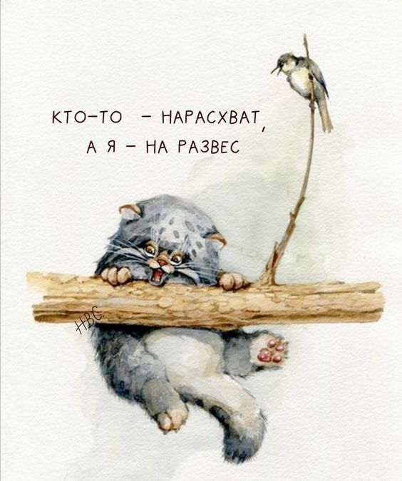 КТОТО НАРАСХВАТ А Я _ НА РАЗЕЕС