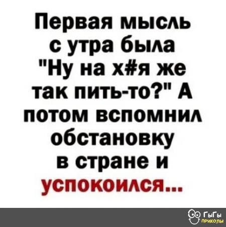 Первая мышь с утра бьма Ну на хя же так пить то А потом вспомнид обстановку в стране и успокоился