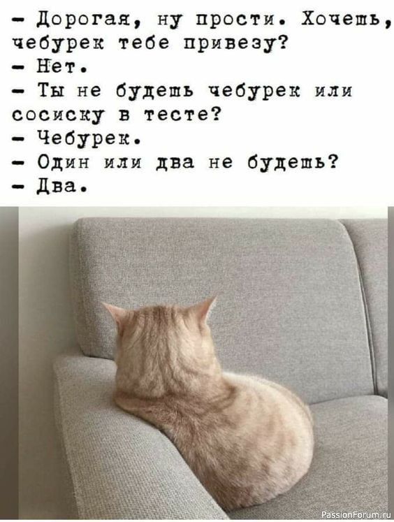 Дорогая ну прости Хочешь чебурек тебе привезу Нет Ты не будешь чебурек или сосиску тесте Чебурек Один или два не будешь два