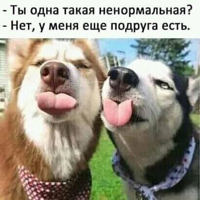 Ты одна такая ненормальная Нет у меня еще подруга есть