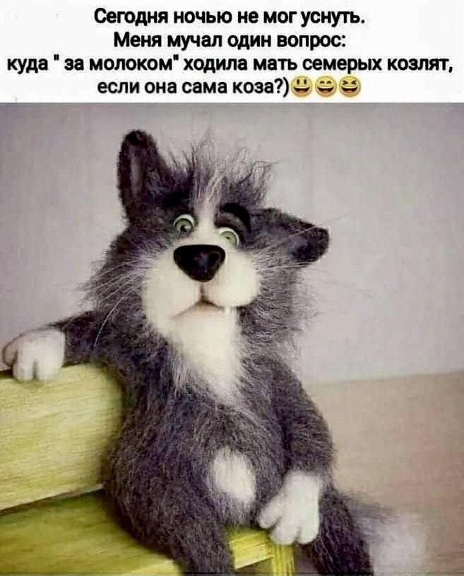 Сегодня ночью не мог уснуть Меня мучал один вопрос куди аа молоком хщипв мать семерых кишит если она сама коза