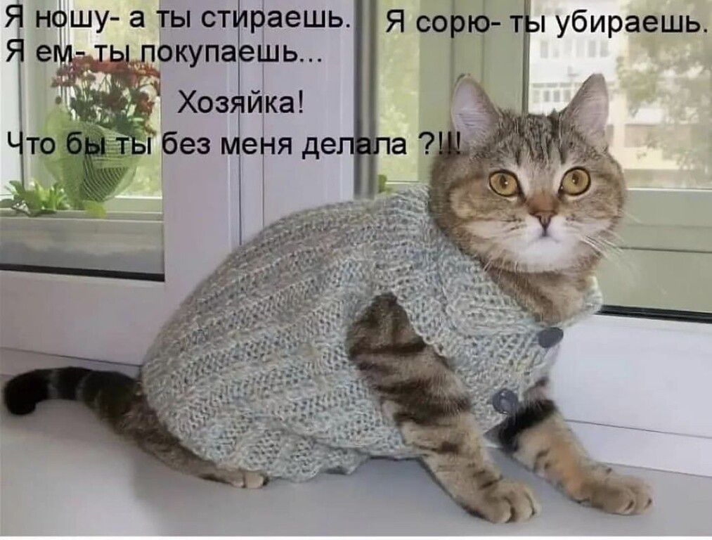 Я нпшу а ты стираешь я со