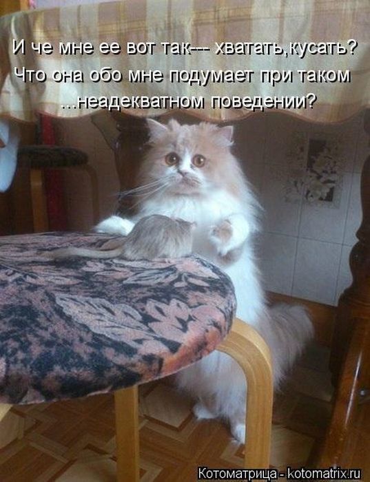 Когомгітррцз моющей