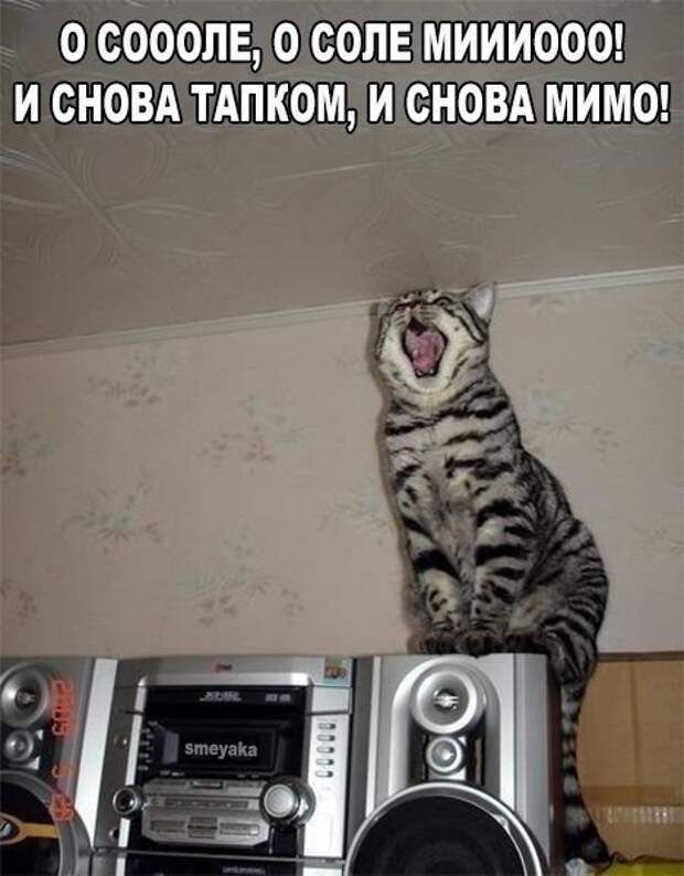 Ёз о и Ь