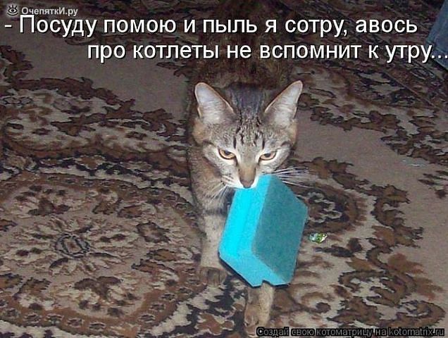 Посуду помою и пыль я сотру авось про котлеты не вспомнит к утру
