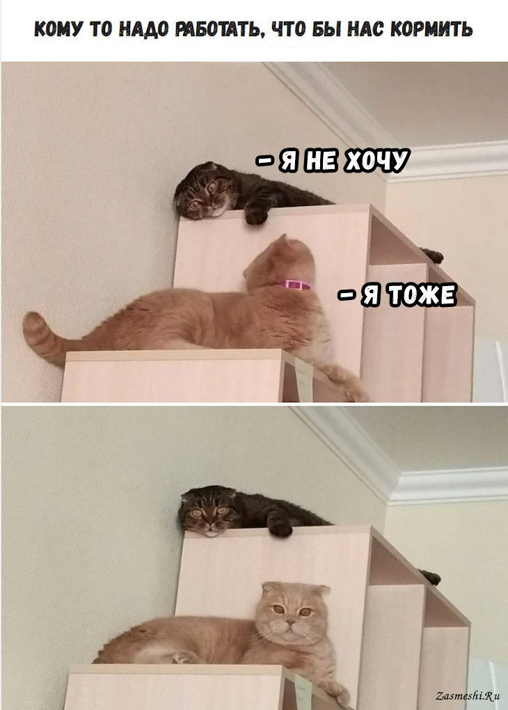 ИУ ТО 111 ЧТ0 вы ИАС ЮРИИТЬ