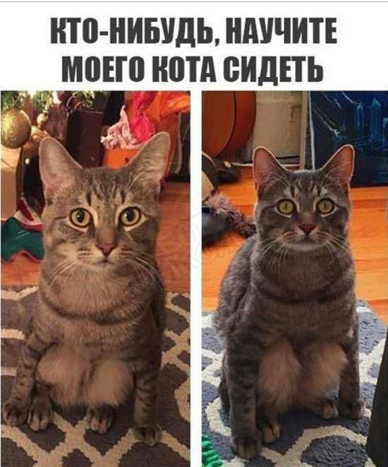 НТЦ НИБУДЬ ШШЧИТЕ моно нотд видіть Ъ тэ к