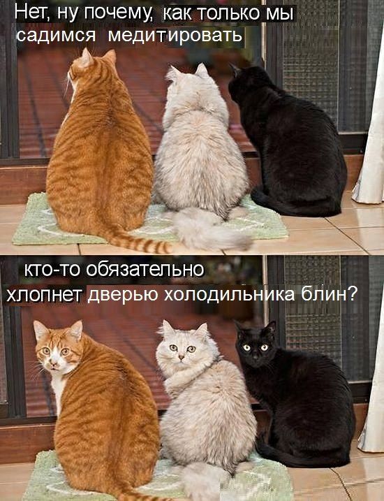 НЭТ НУ ПОЧЕМУ как ТОПЬКОМЫ СЗДИМСЯ МЕДИТИРОЕЭТЬ