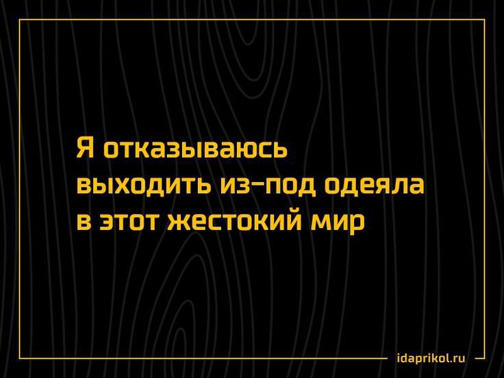 Я отказываюсь выходить изпод одеяла в этот жестокий мир нвиипъш