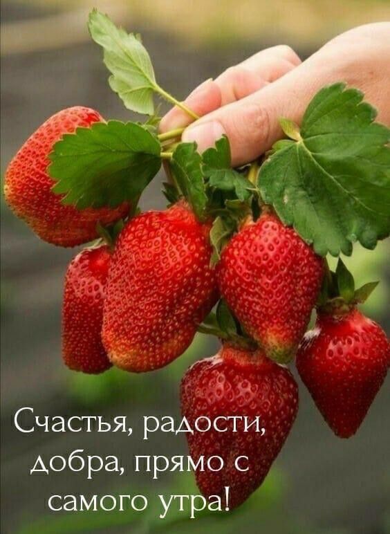 Счастья радости добра прямо с самого утра
