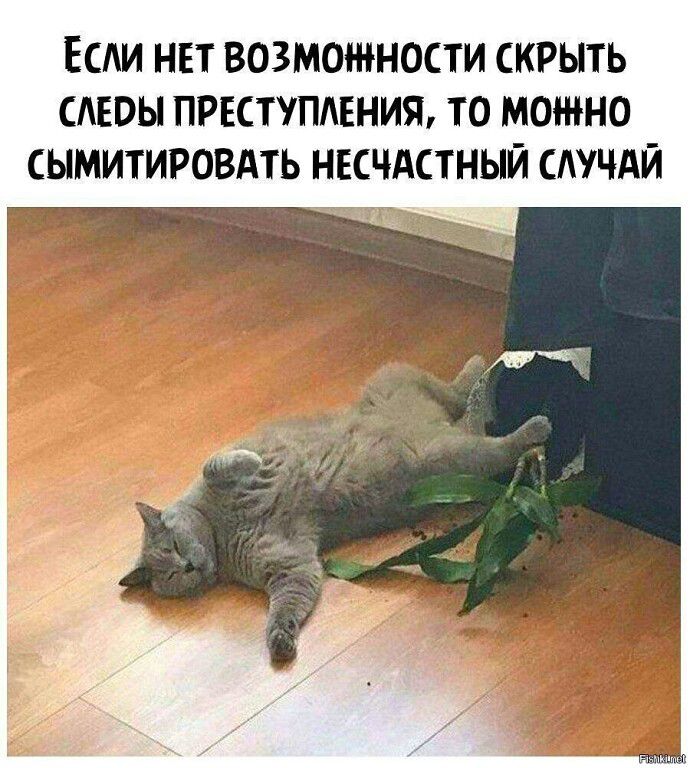 Если нет возможности скрыть слюы преступления то можно сымитировдть несчдстный сдучдй