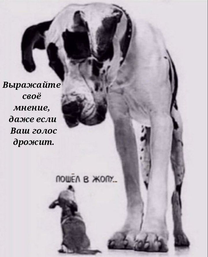 Вырижийте своё мнение даже если Ваш голос дрожшп