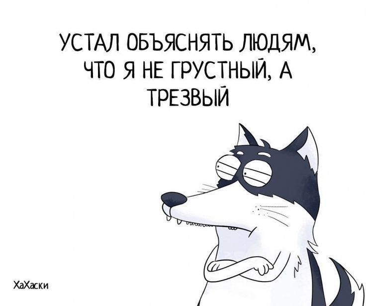 УСТАЛ ОБЪЯСНЯТЬ ЛЮДЯМ ЧТО Я НЕ ГРУСТНЫЙ А ТРЕЗВЫЙ