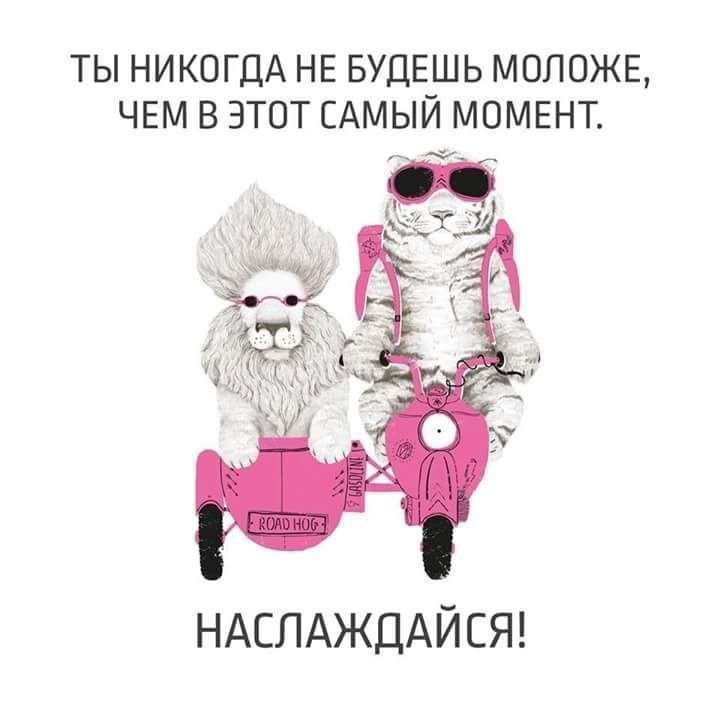 ТЫ НИКОГДА НЕ БУДЕШЬ МОЛОЖЕ ЧЕМ В ЭТОТ САМЫЙ МОМЕНТ НАСЛАЖДАЙСЯ