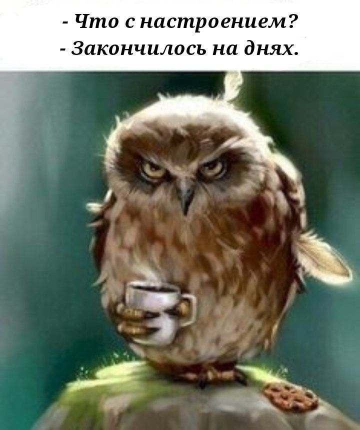 Что с настроением Закончилось на днях