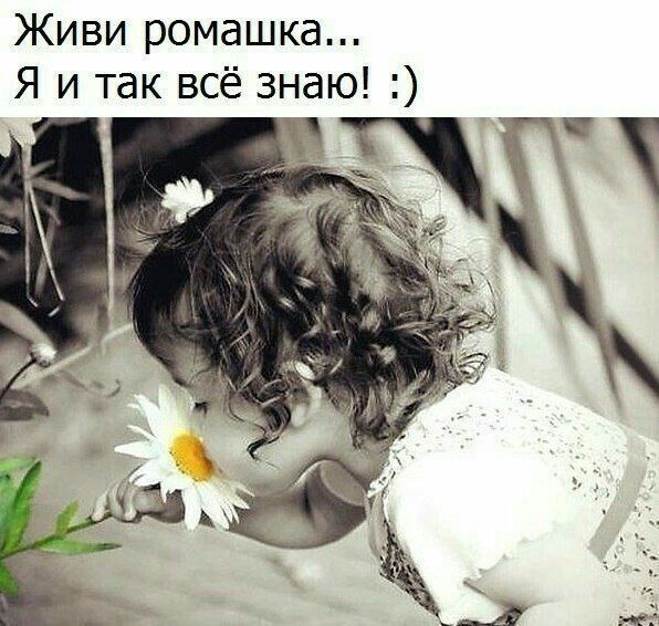 Живи ромашка Я и так всё знаю