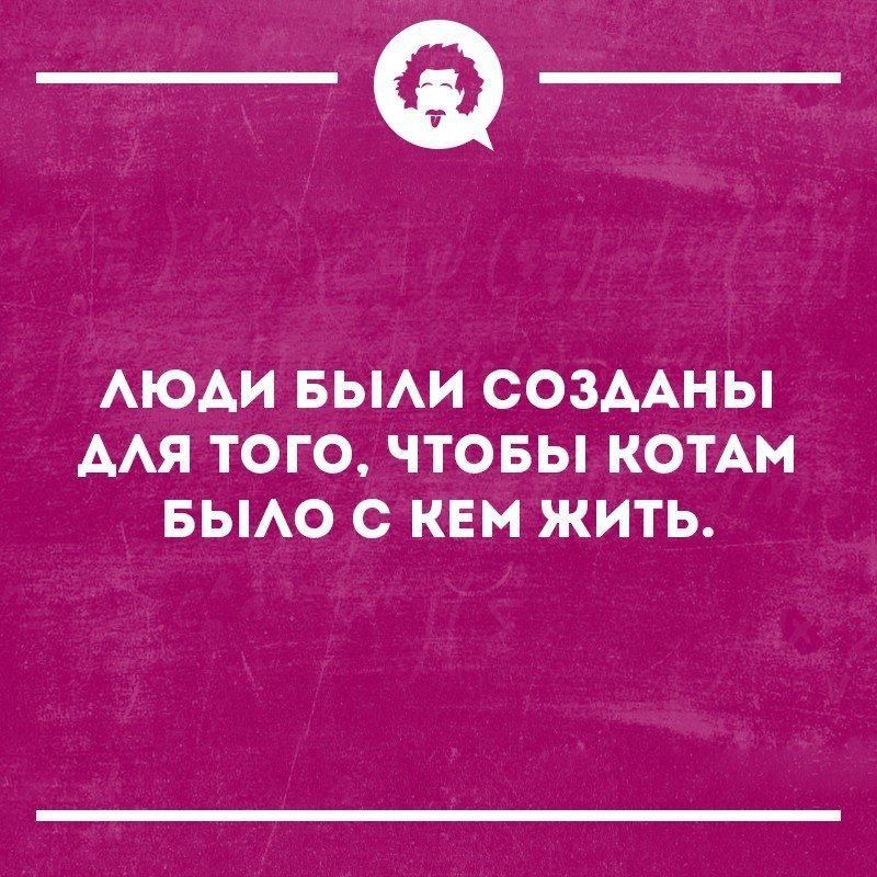 _Ф АЮАИ БЫАИ СОЗААНЫ ААЯ ТОГО ЧТОБЫ КОТАМ БЫАО С КЕМ ЖИТЬ