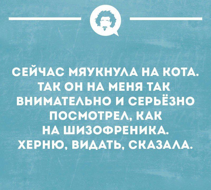 _Ф СЕЙЧАС МЯУКНУАА НА КОТА ТАК ОН НА МЕНЯ ТАК ВНИМАТЕАЬНО И СЕРЬЁЗНО ПОСМОТРЕА КАК НА ШИЗОФРЕНИКА ХЕРНЮ ВИААТЬ СКАЗААА инициации