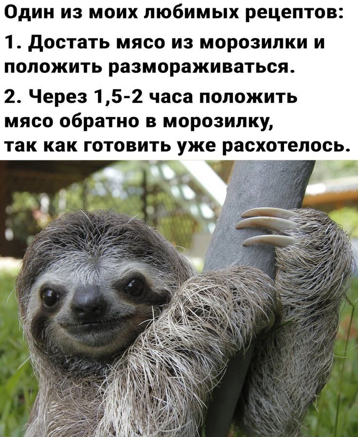 Один из моих любимых рецептов 1 достать МЯСО ИЗ МОРОЗИПКИ И ПОЛОЖИТЬ размораживаться 2 Через 15 2 часа положить мясо обратно в морозилку так как готовить уже расхотелось