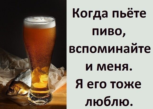 Когда пьёте пиво вспоминайте и меня Я его тоже люблю