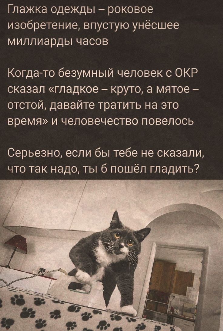 ГЛЭЖКЭ Одежды роковое изобретение впустую унёсшее миллиарды часов Когда то безумный человек ОКР сказал гладкое круто а мятое отстой давайте тратить на это время и человечество повелось Серьезно если бы тебе не сказали что так надо ты 6 пошёл гладить