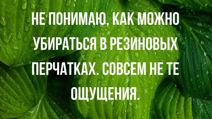НЕ ППНИМАЮП К_МВЖНО УБИРАТЫЩ ПЕРЧАТКАХ