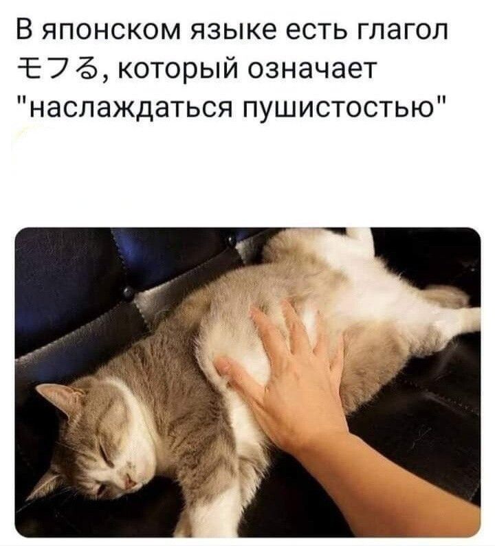 В японском языке есть глагол 3Е 7 который означает наслаждаться пушистостью