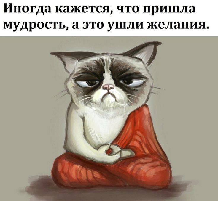 Иногда кажется что пришла мудрость это ушли желания