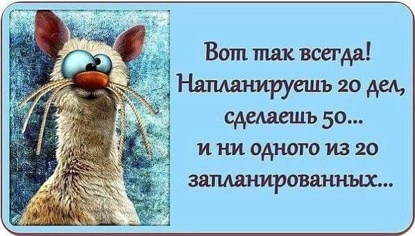 Вот так всегда Риманируешъ 20 дел САСАЯШЦЪ 50 _ И НИ одт юто ИЗ 20 1 запданированных