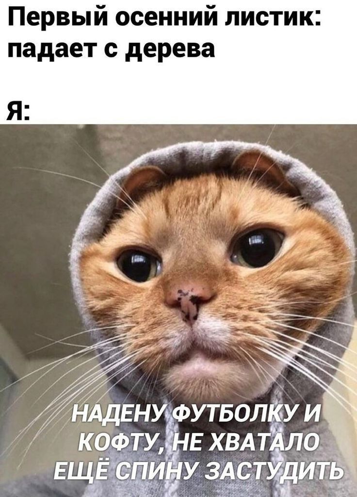 Первый осенний листик падает с дерева