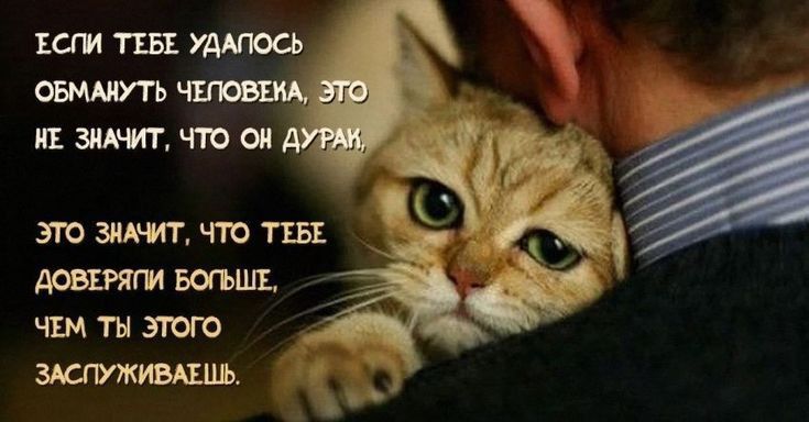 ЕСГИ ТЕБЕ УДАПОСЬ ОБМАНУТЬ НЕ ЗНАЧИТ ЧТО ОН Д ЭТО ЗНАНИТ ЧТО ТЕБЕ ДОВЕРЯПИ БОГЬШЕ ЧЕМ ТЫ ЭТОГО ЗАСПУЖИВАЕШЬ