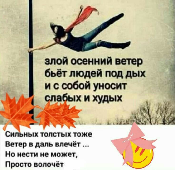 алой осенний ветер бьётлюдей поддых и с собой уносит Сил иыя толстых тоже Ветер в даль влечёт Но мести не может Просто вопочёт