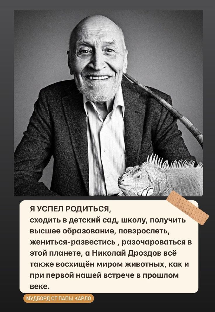 Я УСПЕЛ РОДИТЬСЯ сходить в детский сад школу получить высшее образование повзрослеть жениться развестись разочароваться в этой планете а Николай дроздов всё также восхищёи миром животных Как и при первой нашей встече в прошлом веке мшты в ты АРПЮ