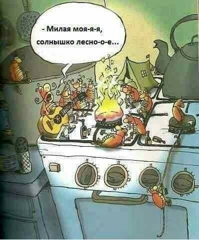 _Милпмон я солнышко песни е