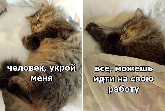 ИдТИ на свою
