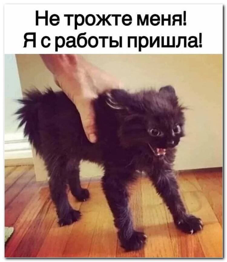 Не трожте меня Я с работы пришла _ _