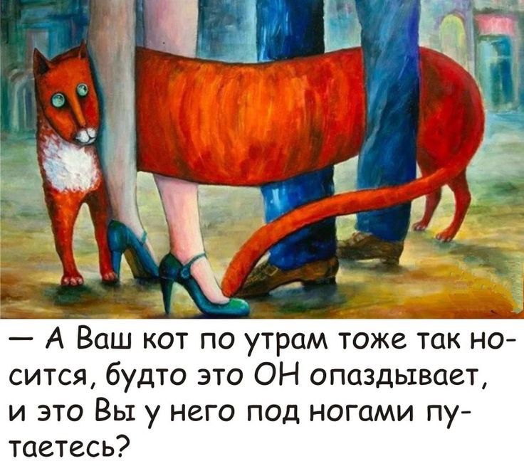 А _ _ _Ц А Ваш кот по утрам тоже так но сится будто это ОН опаздывает и это Вы у него под ногами пу таетесь