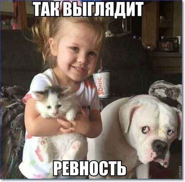 дит НВЫГПП тд