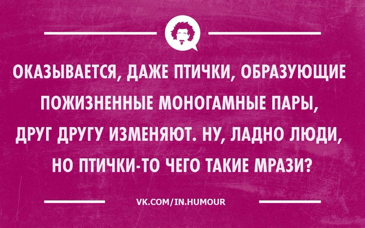 окдзыштся длжъ тички ошзующи пожизнвнныі моногдмны тгы друг другу изменяют ну ладно люди НО ПТИЧКИТО ЧЕГО ТАКИЕ МРАЗИ чкдощшмимпц