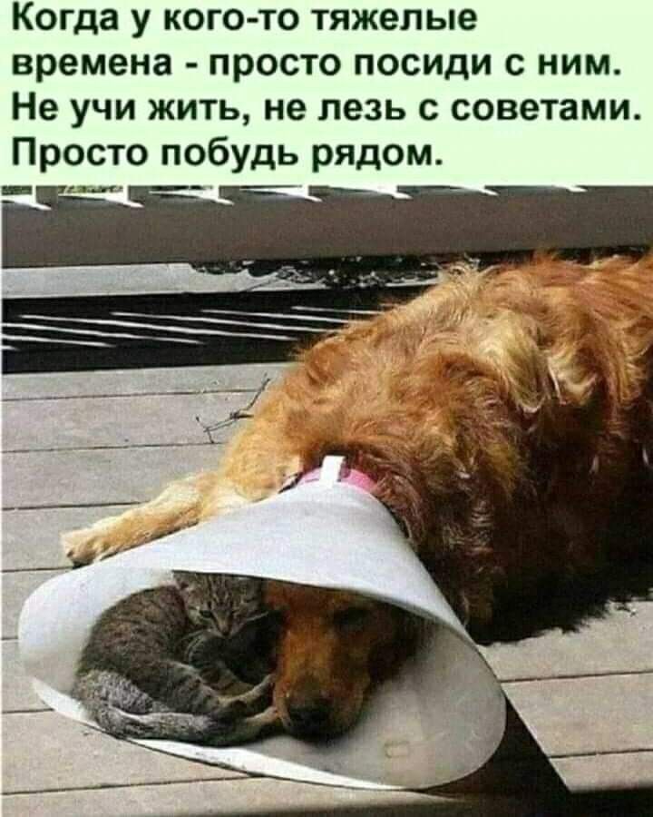 Когда у кого то тяжелые времена просто посиди с ним Не учи жить не лезь с советами Просто побудь рядом