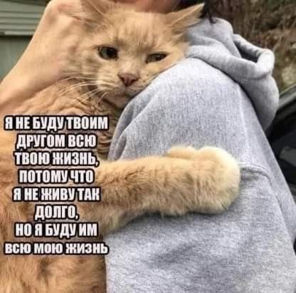 В _ БУ ИМ _тшът
