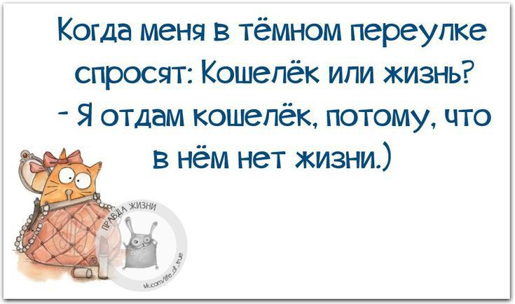 Когда меня в тёмном переулке спросят Кошелёк или жизнь Я отдам кошелёк потому что в нём нет жизни