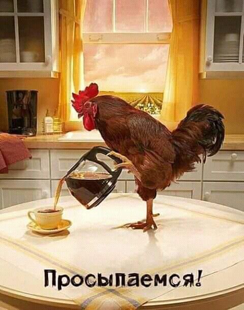 Просьшаемся