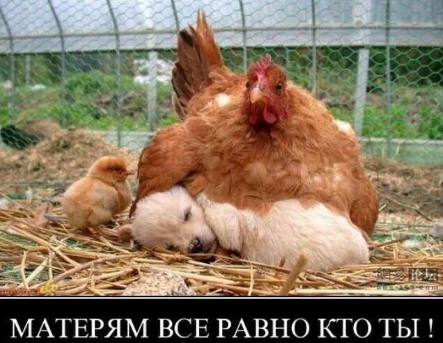 ТЕРЯМ ВСЕ РАВНО КТО Ы