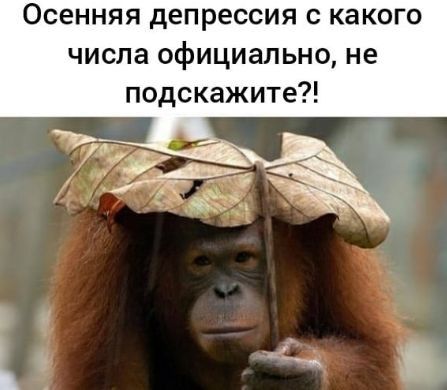 Осенняя депрессия с какого числа официально не подскажите
