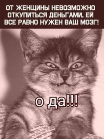 ОТ ЖЕНЦИНЫ НЕВОЗМОЖНО ОТКУГМТЬСЯ дЕНЬГАМИ ЕЙ ВСЕ РАВИ НУЖЕН ВАШ ЮЗП