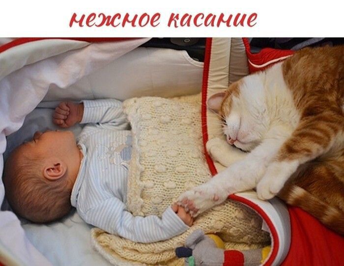НРЖНОР КЛСЛН