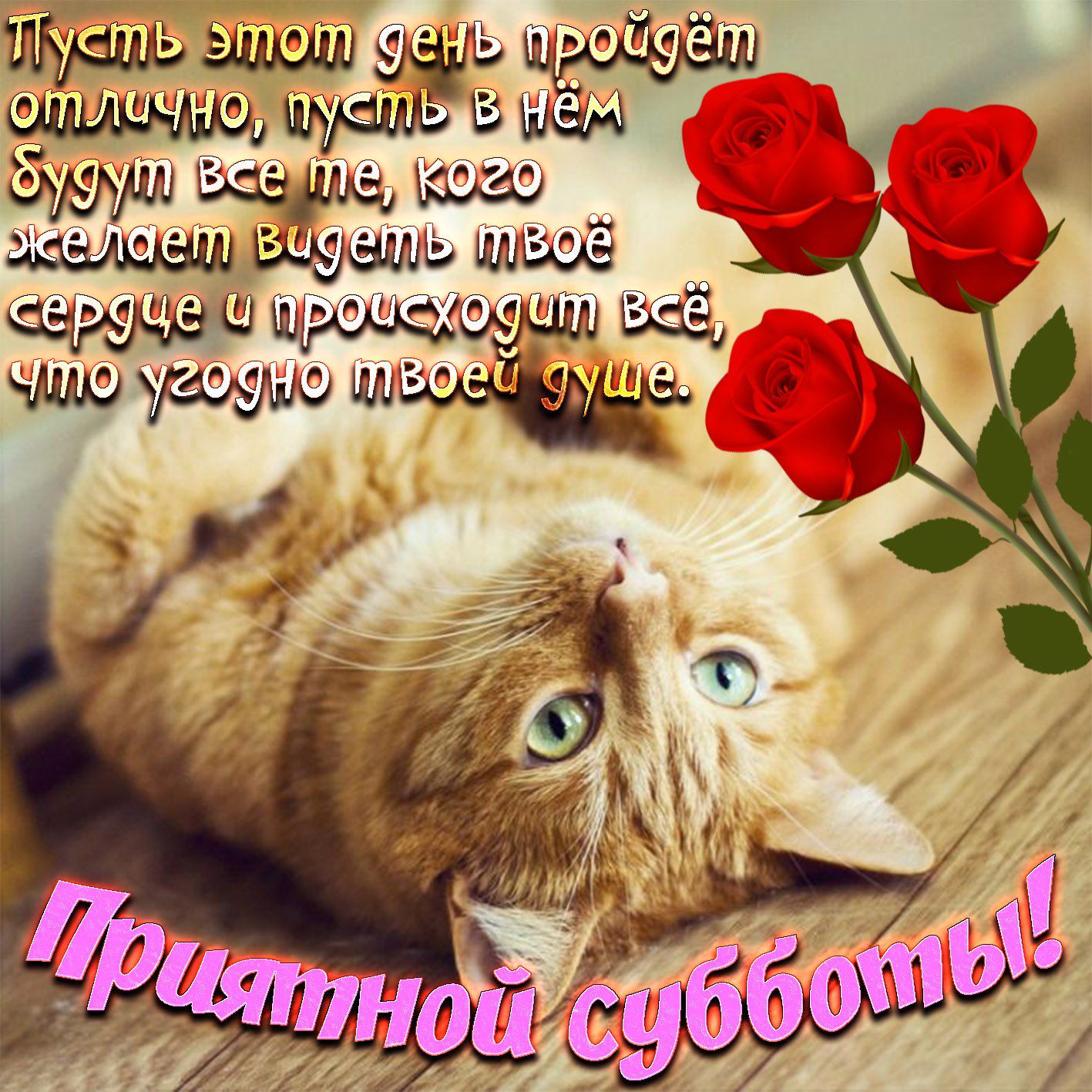 д ЪМ ЬШЁЁЖ 55 Л щЬМм тёщышдм щ ы